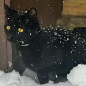 2025Winter Photography Contest 20.jpg