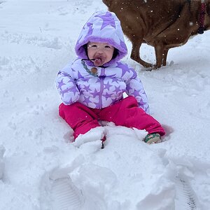 2025Winter Photography Contest 22.jpg