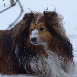 2025Winter Photography Contest 24.jpg