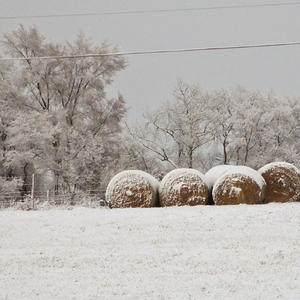 2025Winter Photography Contest 31.png