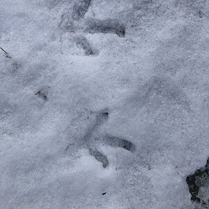 2025Winter on the Farm Photo Contest 20.jpg