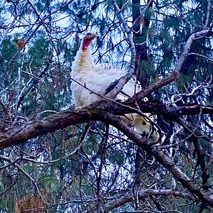 2025Winter on the Farm Photo Contest 21.jpg