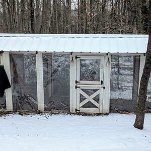 2025Chilly Coop Contest! 27.jpg