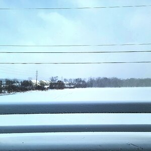 2025Winter Photography Contest 37.jpg