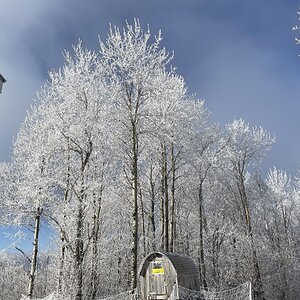 2025Chilly Coop Contest! 31.jpg