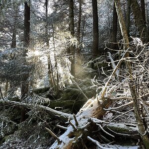 2025Winter Photography Contest 46.jpg