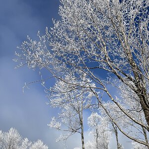 2025Winter Photography Contest 47.jpg