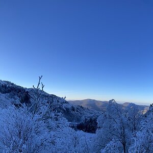 2025Winter Photography Contest 48.jpg