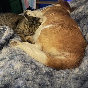 Cutest Couples Photo Contest—Other Critter 14.jpg