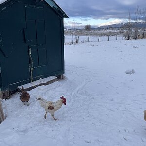 2025Winter on the Farm Photo Contest 33.jpg