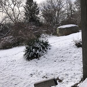 2025Winter on the Farm Photo Contest 42.jpg