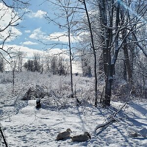 2025Winter Photography Contest 53.jpg