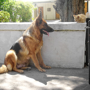 Cutest Couples Photo Contest—Other Critter 19.jpg