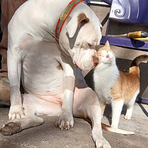 Cutest Couples Photo Contest—Other Critter 22.jpg