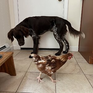 Cutest Couples Photo Contest—Other Critter 24.jpg