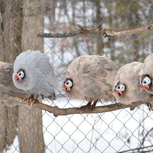 2025Winter on the Farm Photo Contest 44.jpg