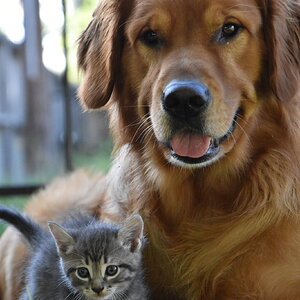 Cutest Couples Photo Contest—Other Critter 32.jpg