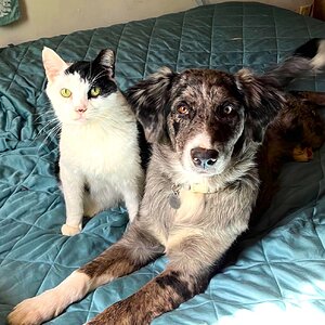 Cutest Couples Photo Contest—Other Critter 38.jpg