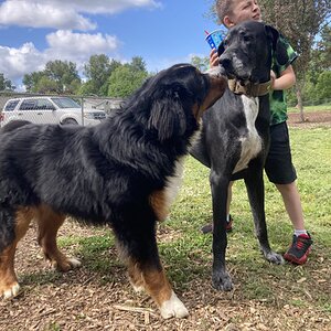 Cutest Couples Photo Contest—Other Critter 41.jpg