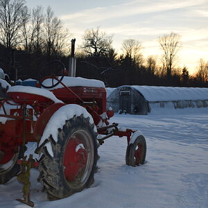 2025Winter Photography Contest 59.jpg