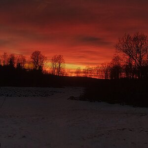 2025Winter Photography Contest 60.jpg