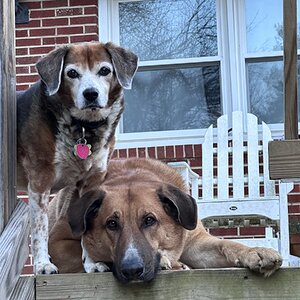 Cutest Couples Photo Contest—Other Critter 56.jpg