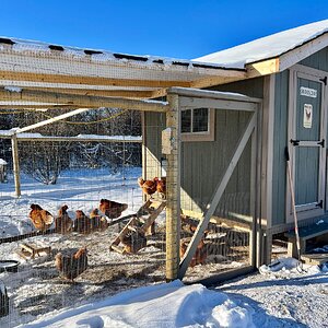 2025Chilly Coop Contest! 36.jpg