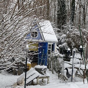 2025Chilly Coop Contest! 37.jpg