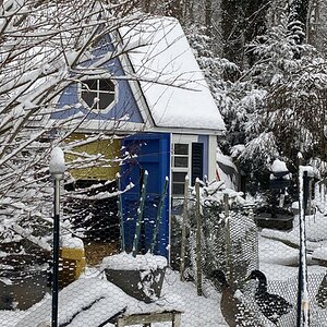 2025Chilly Coop Contest! 38.jpg