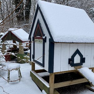 2025Chilly Coop Contest! 39.jpg