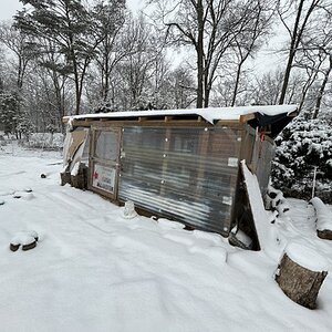 2025Chilly Coop Contest! 40.jpg