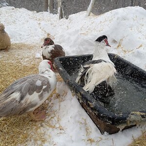 2025Winter on the Farm Photo Contest 64.jpg
