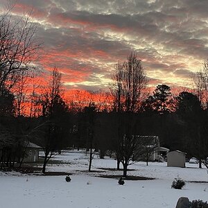 2025Winter Photography Contest 66.jpg