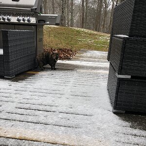 2025Winter Photography Contest 71.jpg