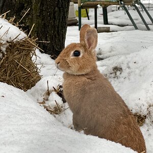 2025Winter Photography Contest 74.jpg