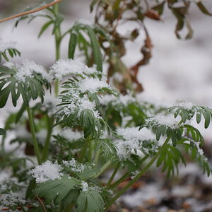 2025Winter Photography Contest 79.jpg