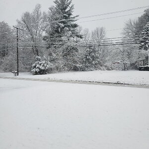 2025Winter Photography Contest 80.jpg