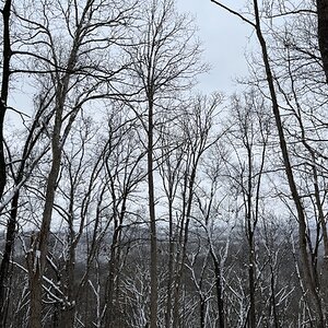 2025Winter Photography Contest 90.jpg