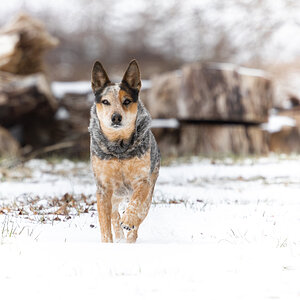 2025Winter Photography Contest 92.jpg