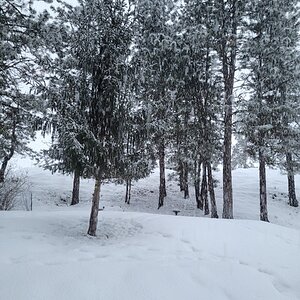 2025Winter Photography Contest 95.jpg