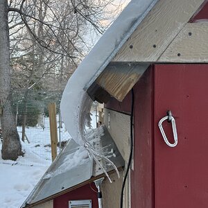 2025Chilly Coop Contest! 41.jpg