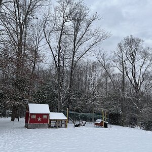 2025Chilly Coop Contest! 42.jpg