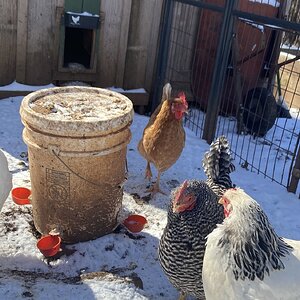2025Winter on the Farm Photo Contest 72.jpg