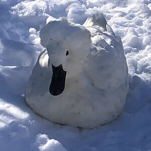 2025Winter on the Farm Photo Contest 78.jpg