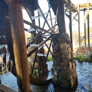 2025Winter Photography Contest 98.jpg