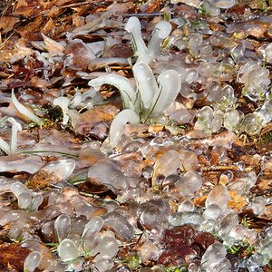 2025Winter Photography Contest 99.jpg