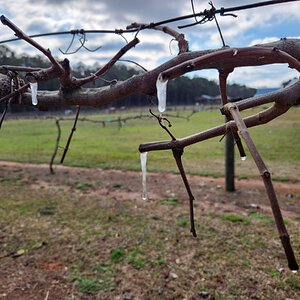 2025Winter Photography Contest 100.jpg