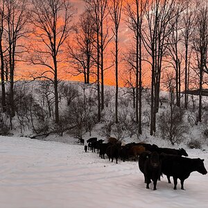 2025Winter Photography Contest 103.jpg