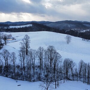 2025Winter Photography Contest 105.jpg