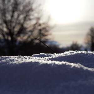 2025Winter Photography Contest 106.jpg